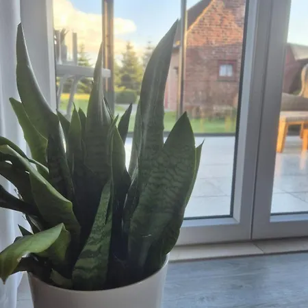 Mit Wintergarten Und Garten Am Deich By Interhome