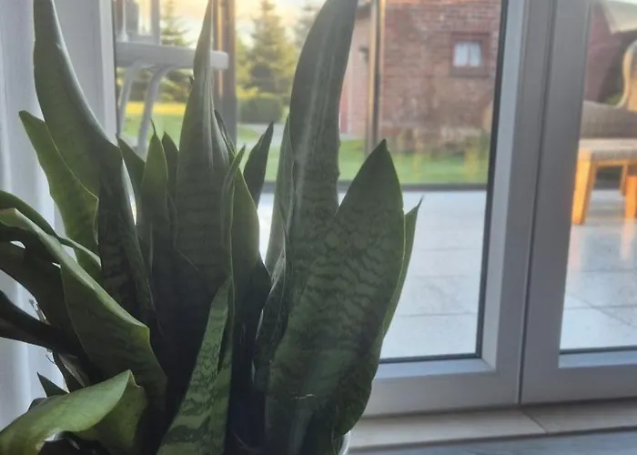 Mit Wintergarten Und Garten Am Deich By Interhome